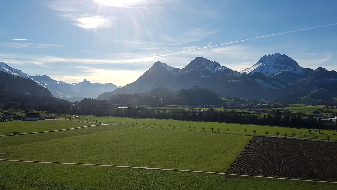 Les Eterpaz – image