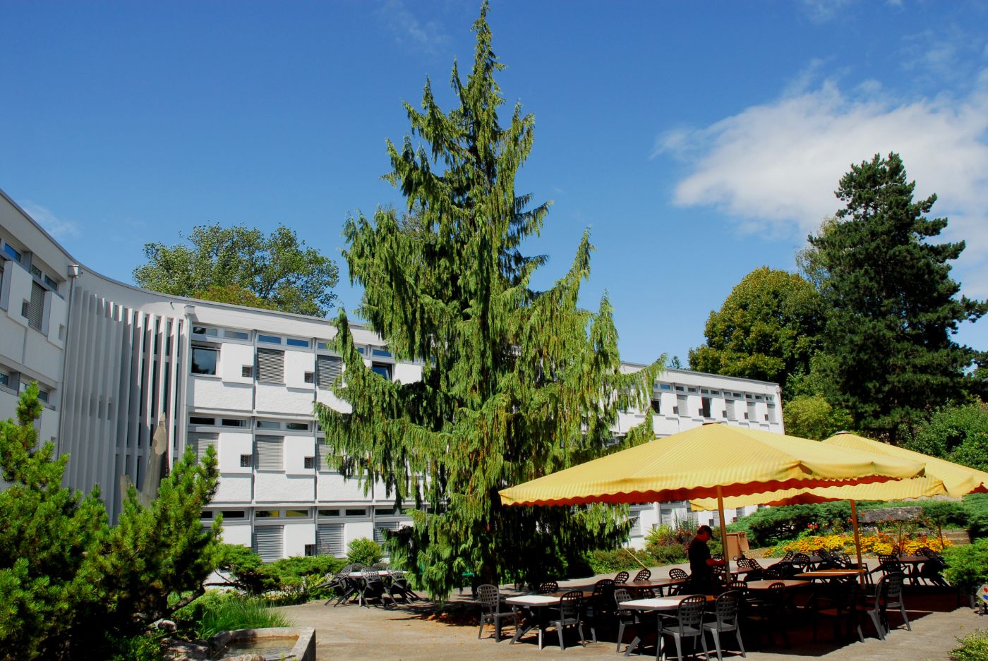 Hôtel Centre Saint-François – Bild