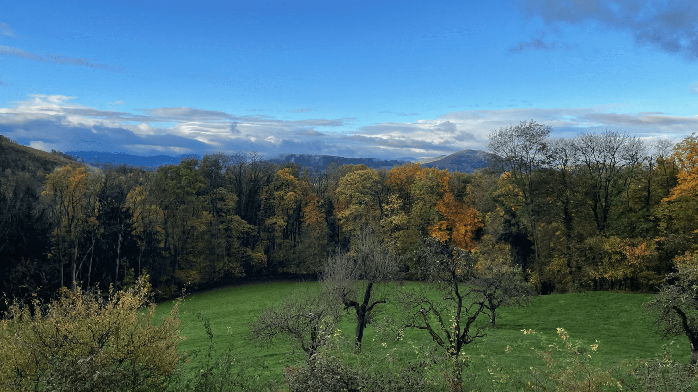 Schartenhof – Bild