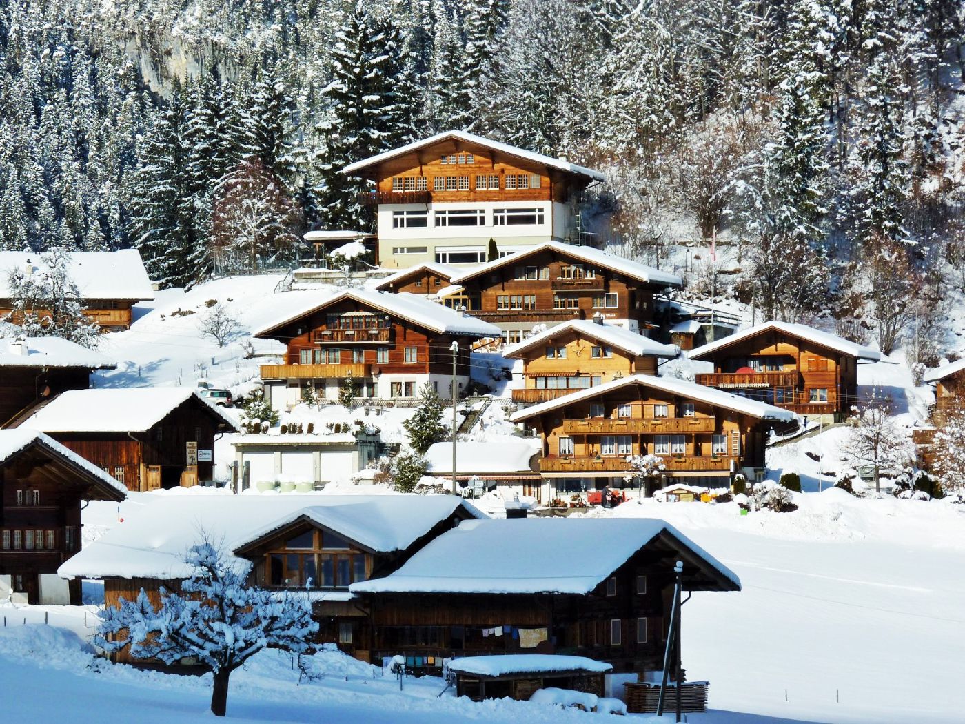 Ferienhaus Adlerhorst – image