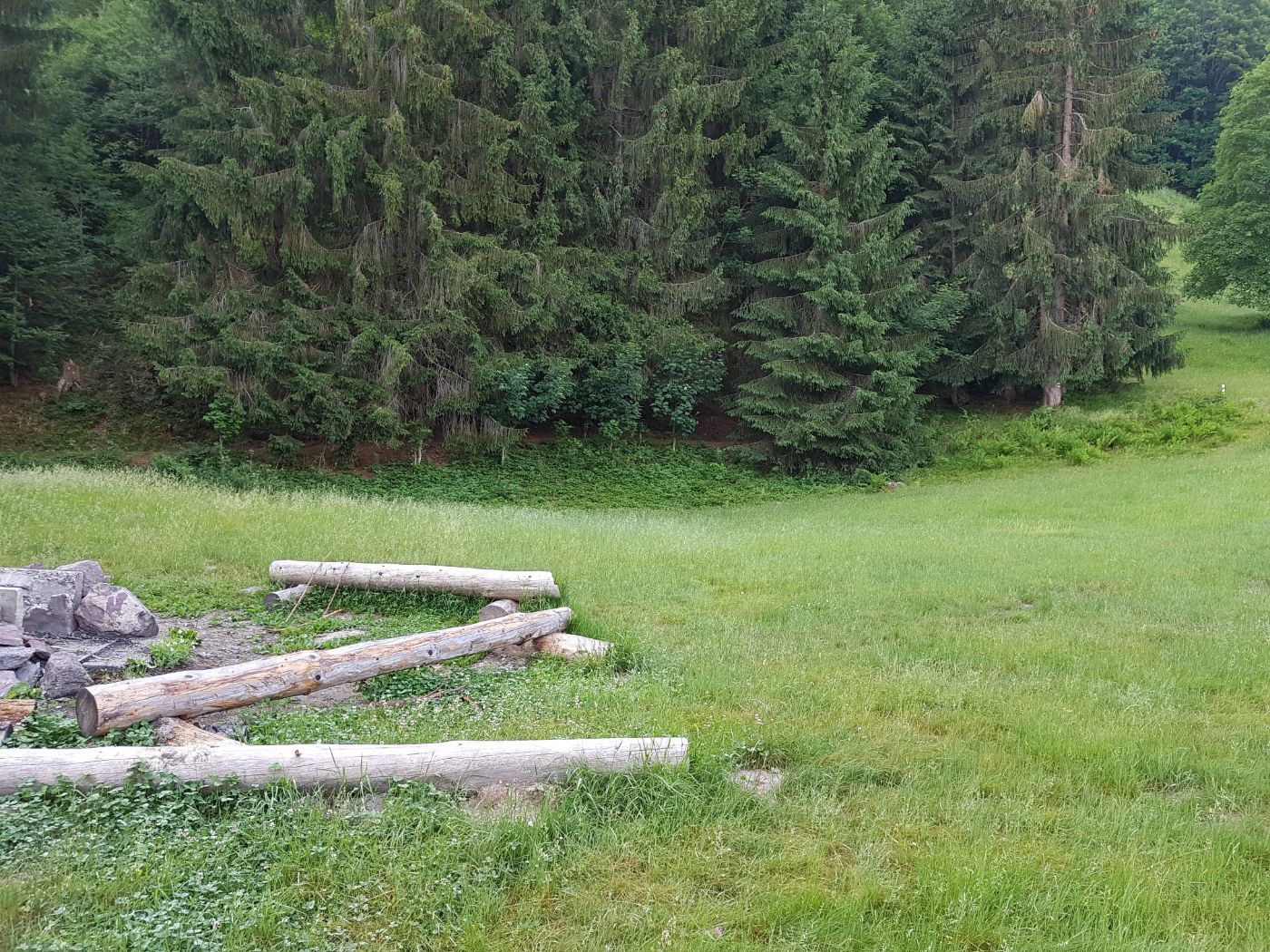 Pfadiheim Villa Kunterbunt – Bild