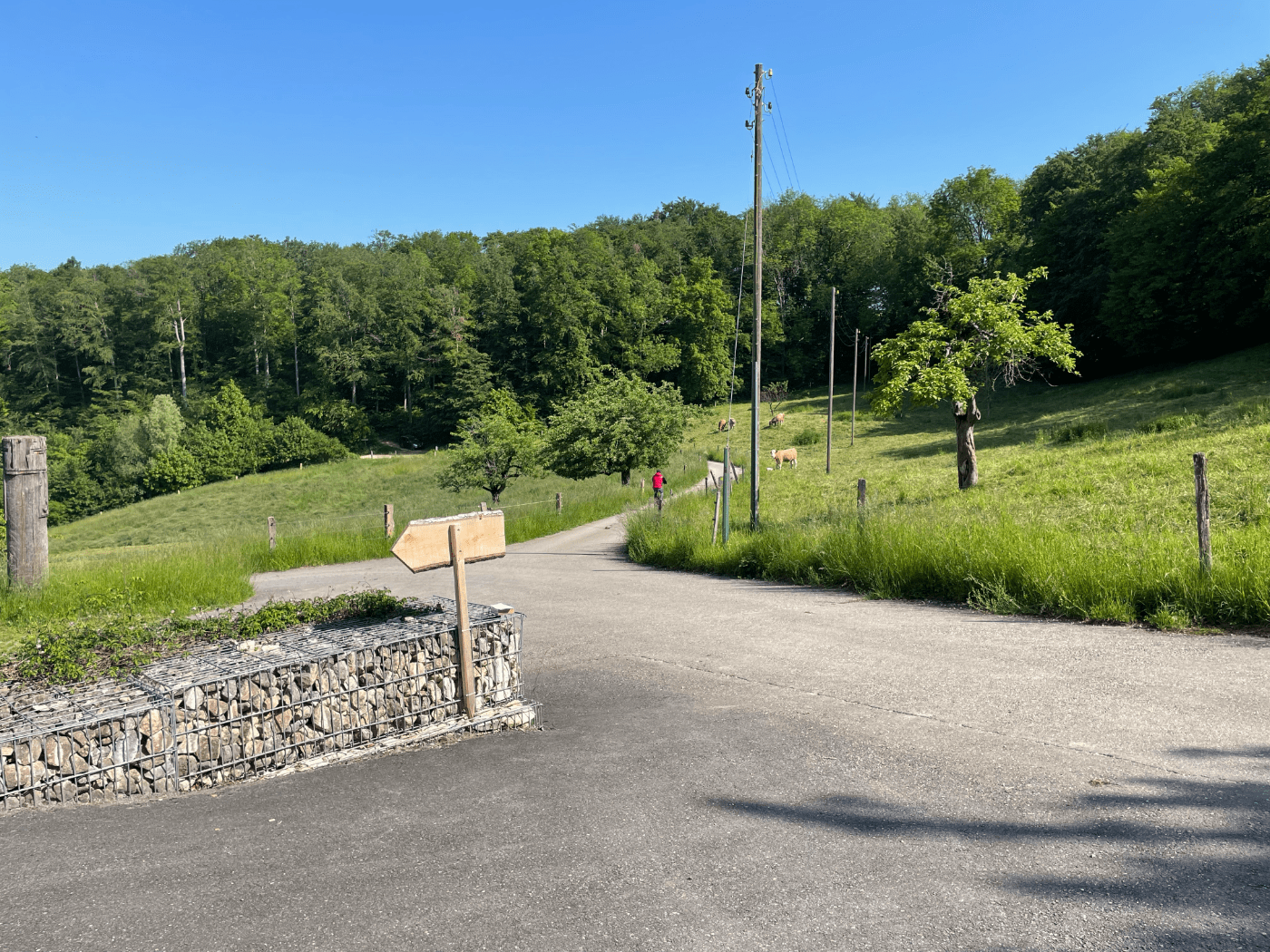 Schartenhof – Bild