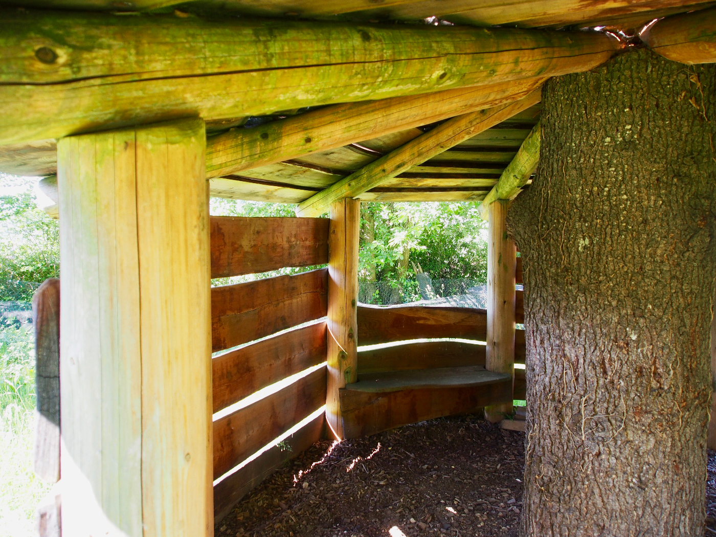 Heilsarmee Ferienzentrum Waldegg / Haupthaus – Bild