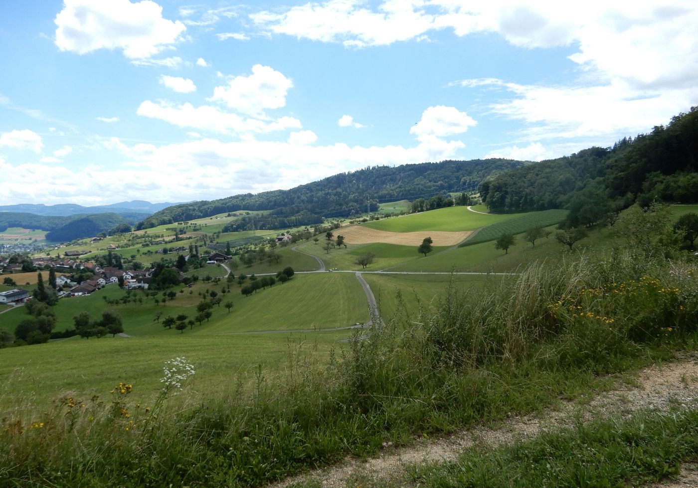 Heilsarmee Ferienzentrum Waldegg / Gesamtauftritt – Bild