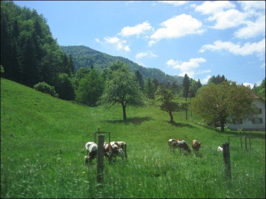 Gruppenhaus Zentrum zum Mühlehof – Bild