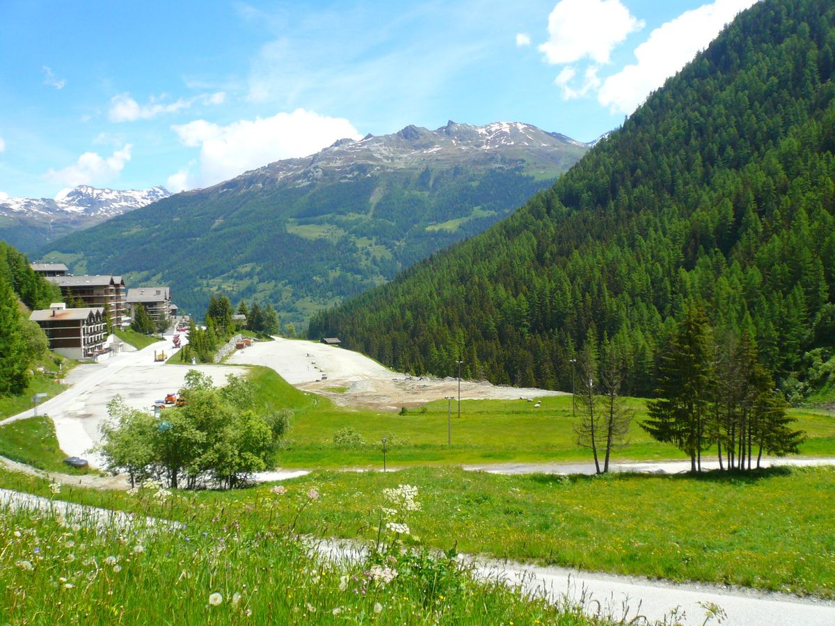 Chalet Les Flaches – Bild