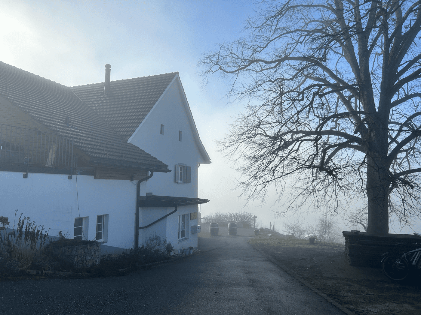 Schartenhof – Bild