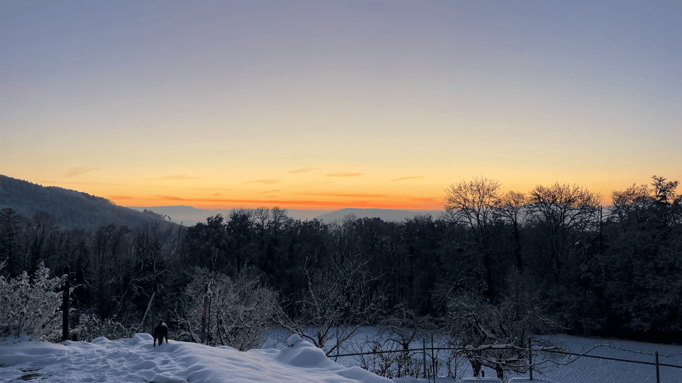 Schartenhof – Bild