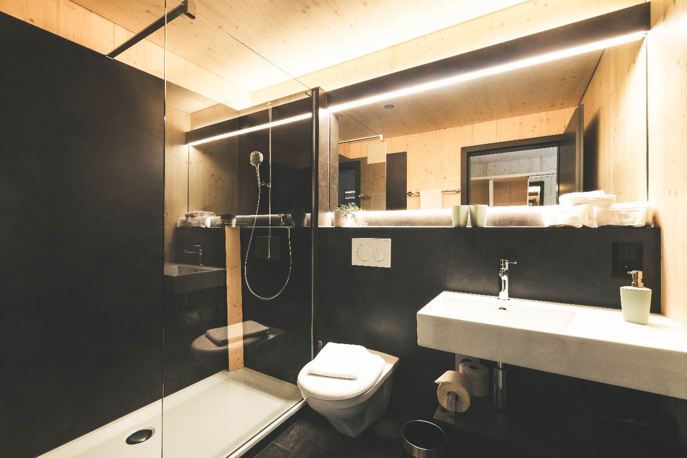 Frutigresort Familienhotel – image