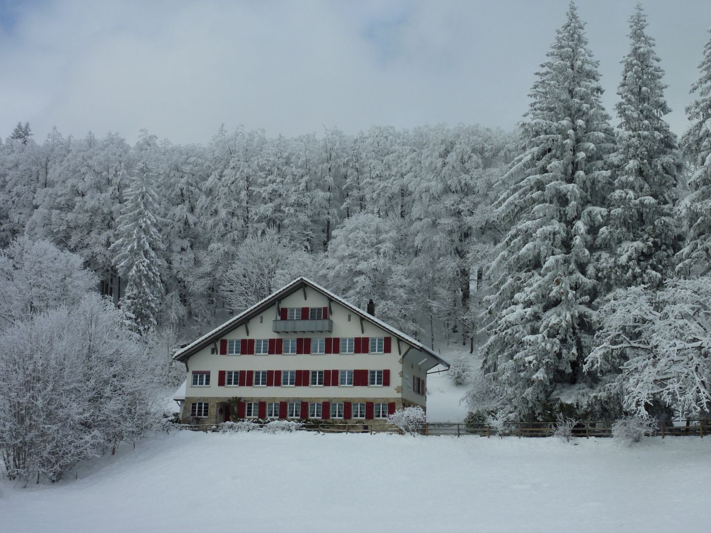 Seminar- und Ferienhaus Tannenheim – Bild