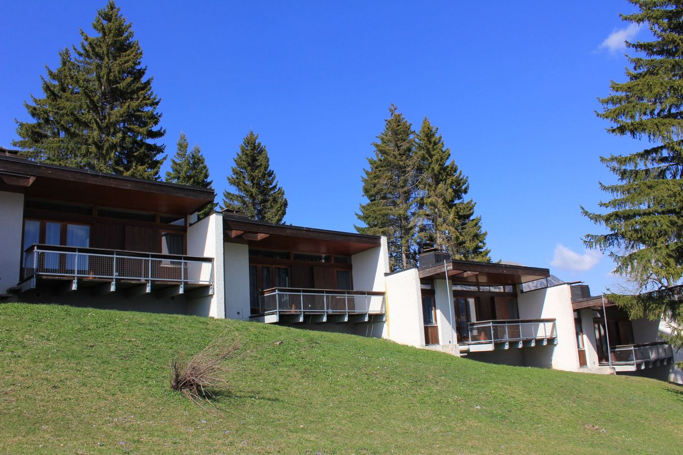 Leysin Lodge – image