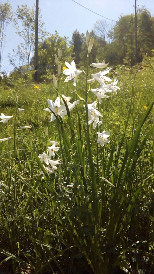 Ostello / Hostel Palagnedra – Bild