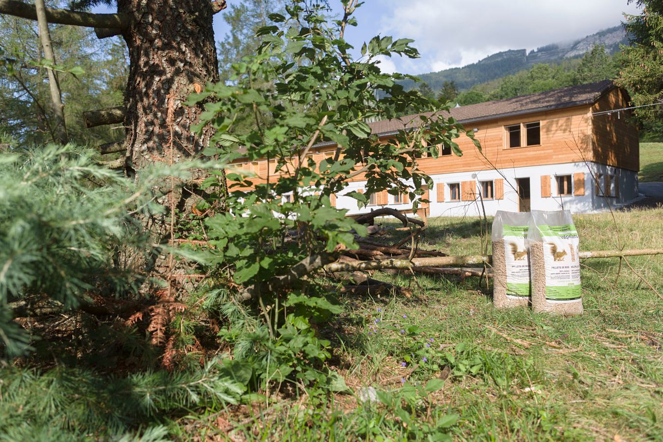 Chalet Bourgeoisial des Flans – Bild