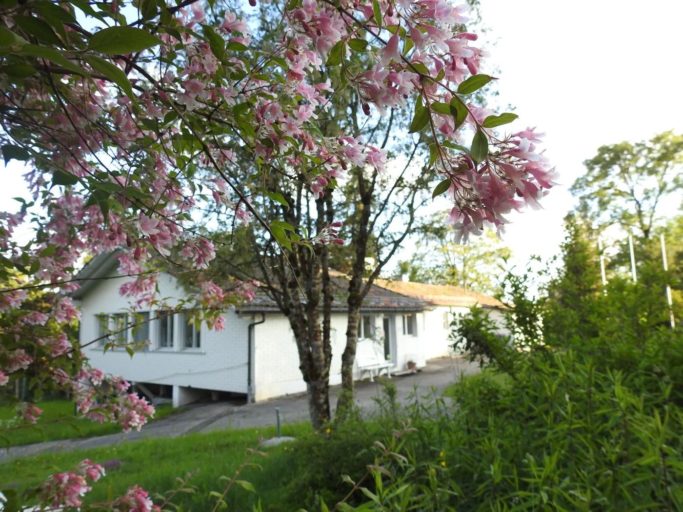 Haus Neuenburg – Bild