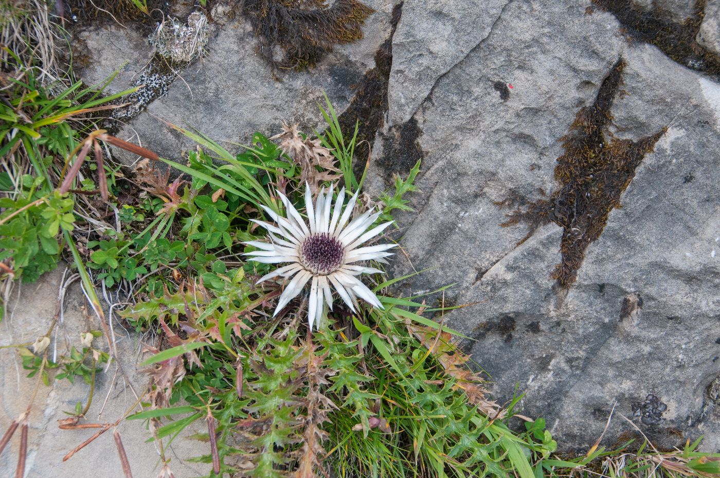 Naturfreundehaus St. Jakob – Bild