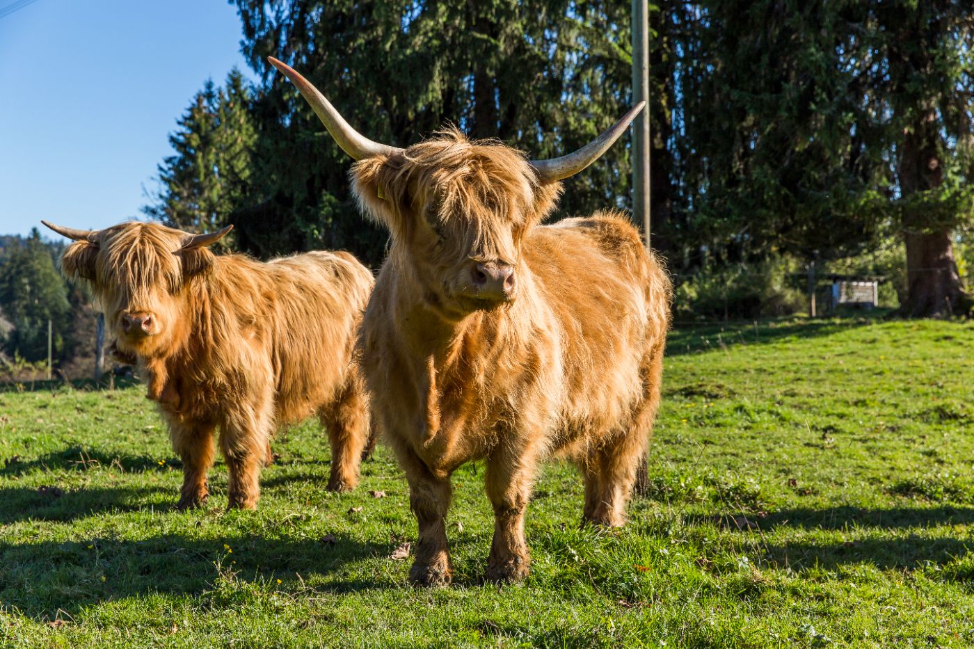 Haus Neuenburg – Bild