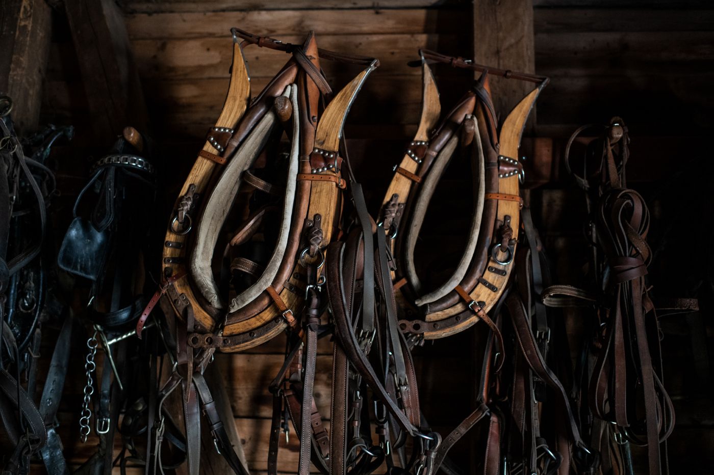 Haus Neuenburg – Bild