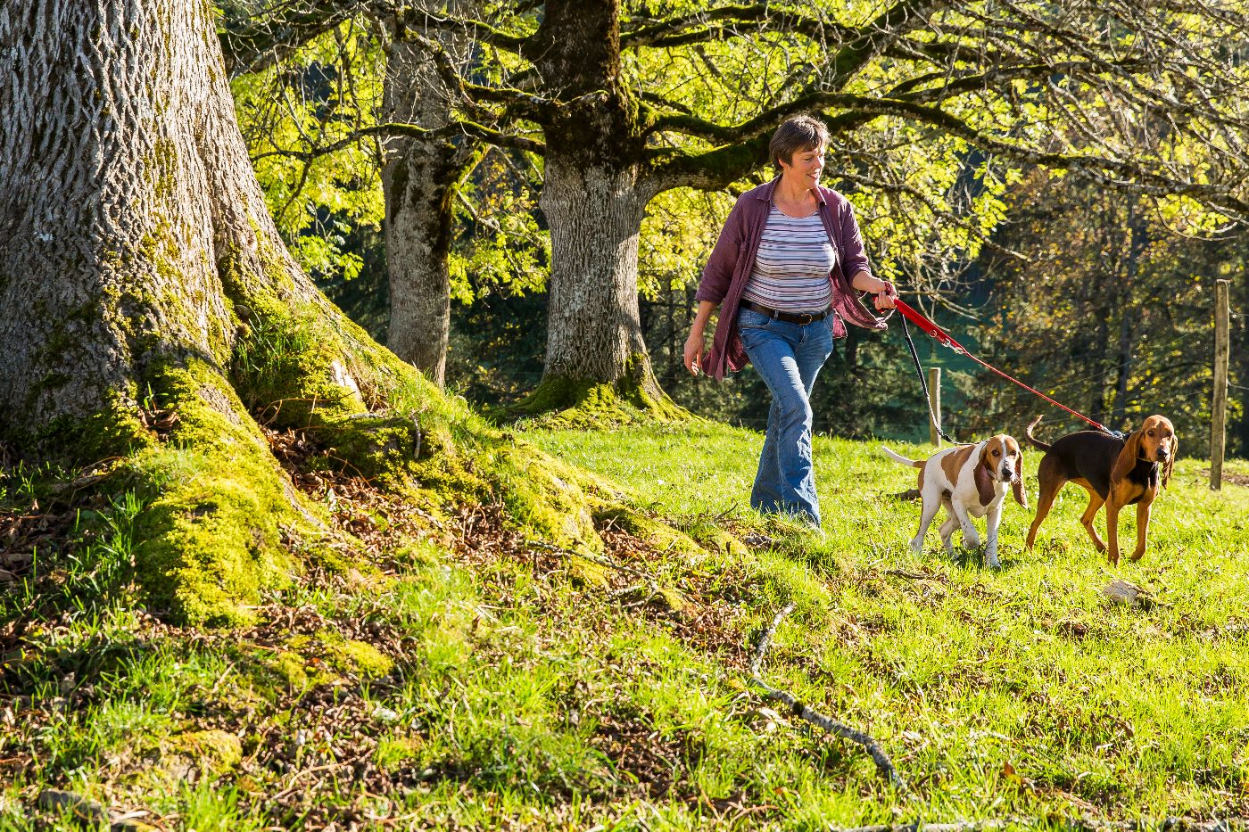 Haus Neuenburg – Bild