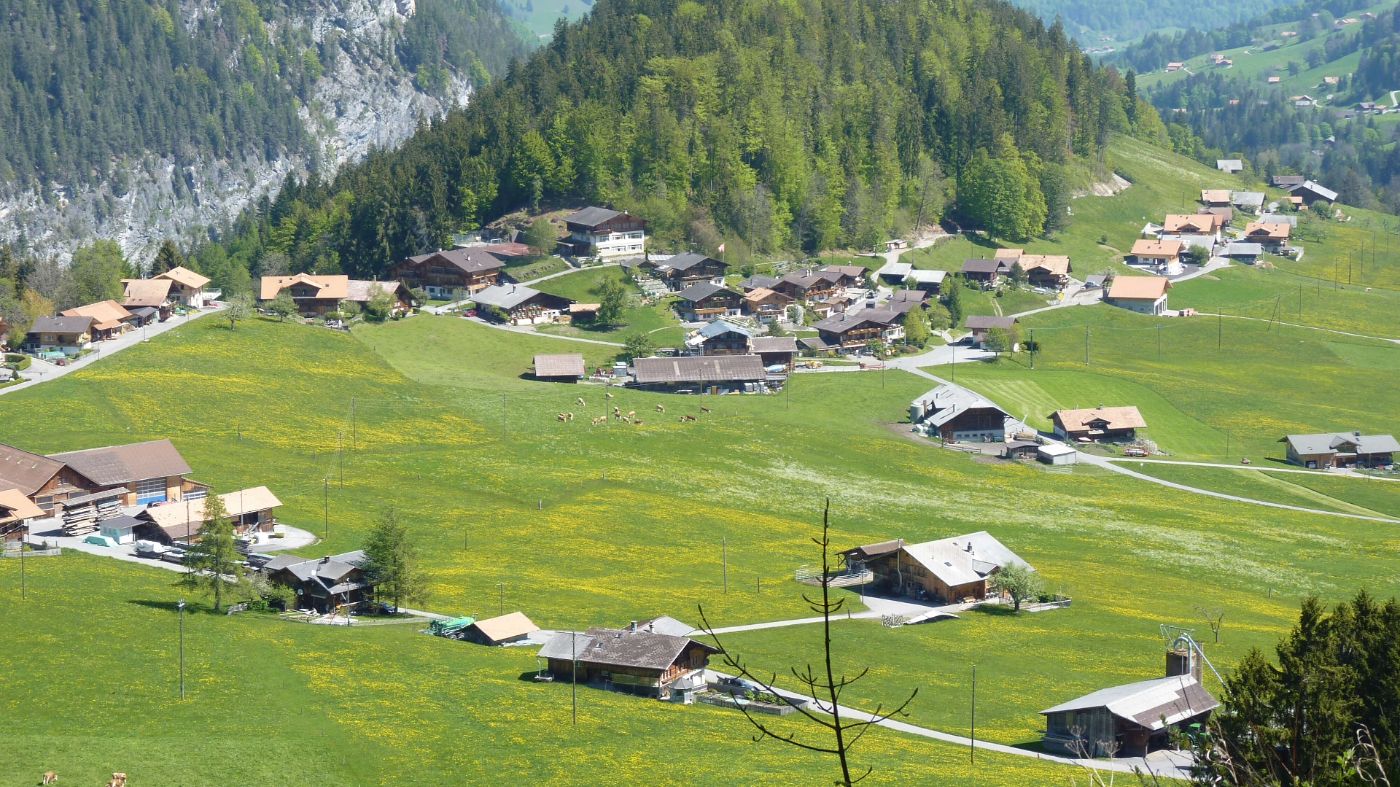 Ferienhaus Adlerhorst – image