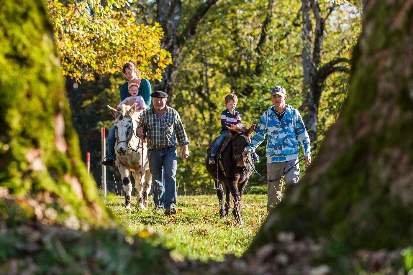 Haus Neuenburg – Bild