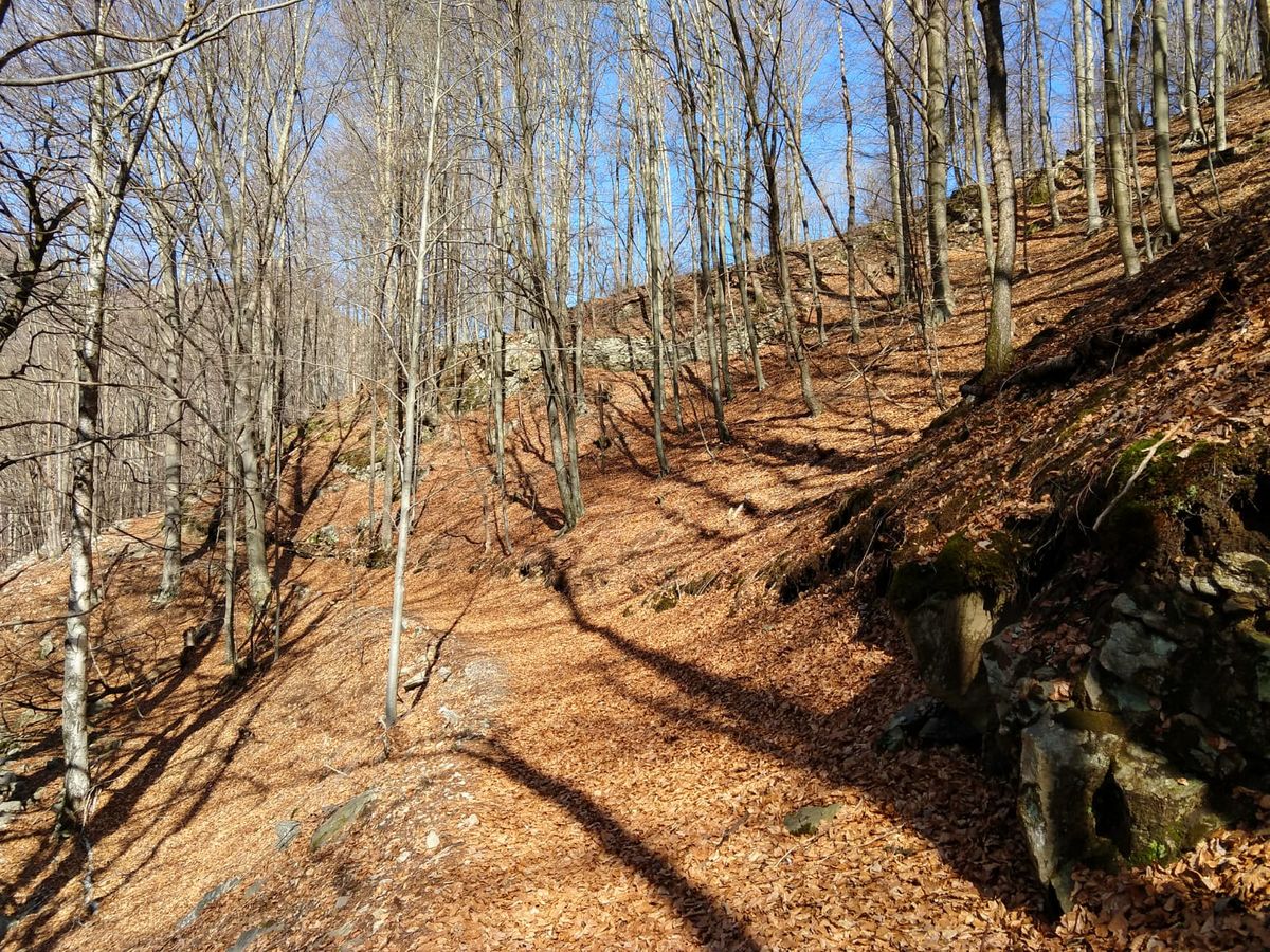 Ostello / Hostel Palagnedra – Bild