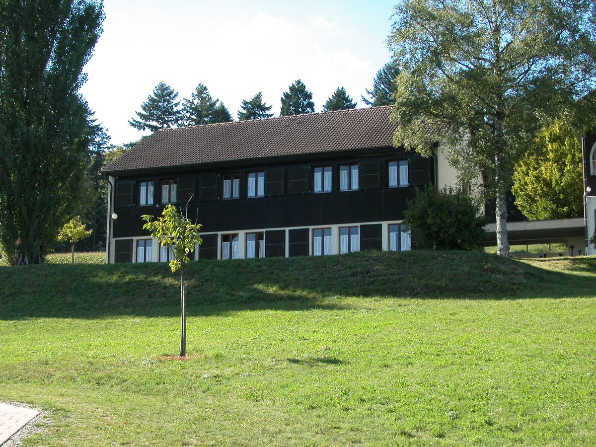 Le Camp/Peupliers – immagine