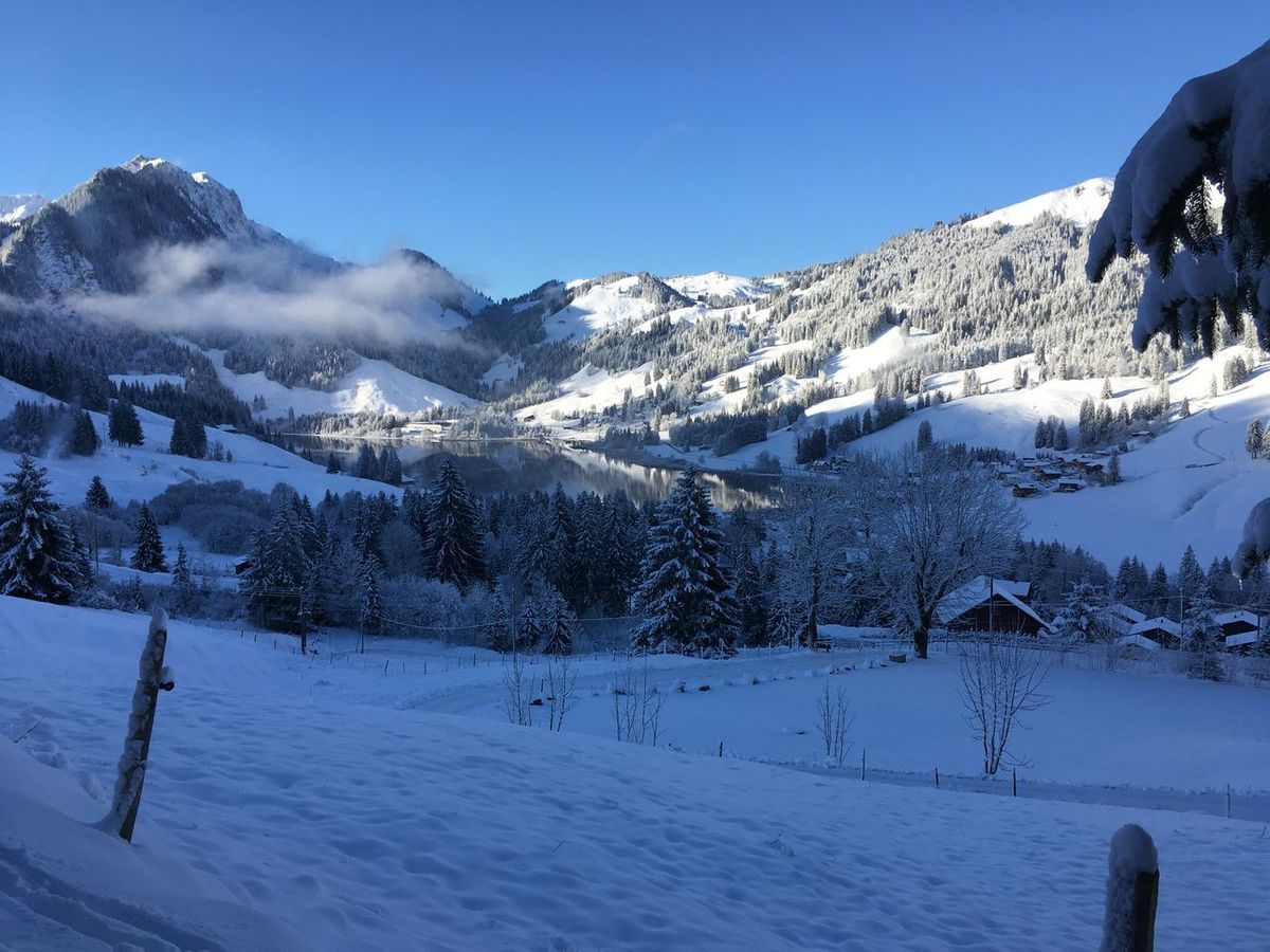 Haus der Jugend – Bild