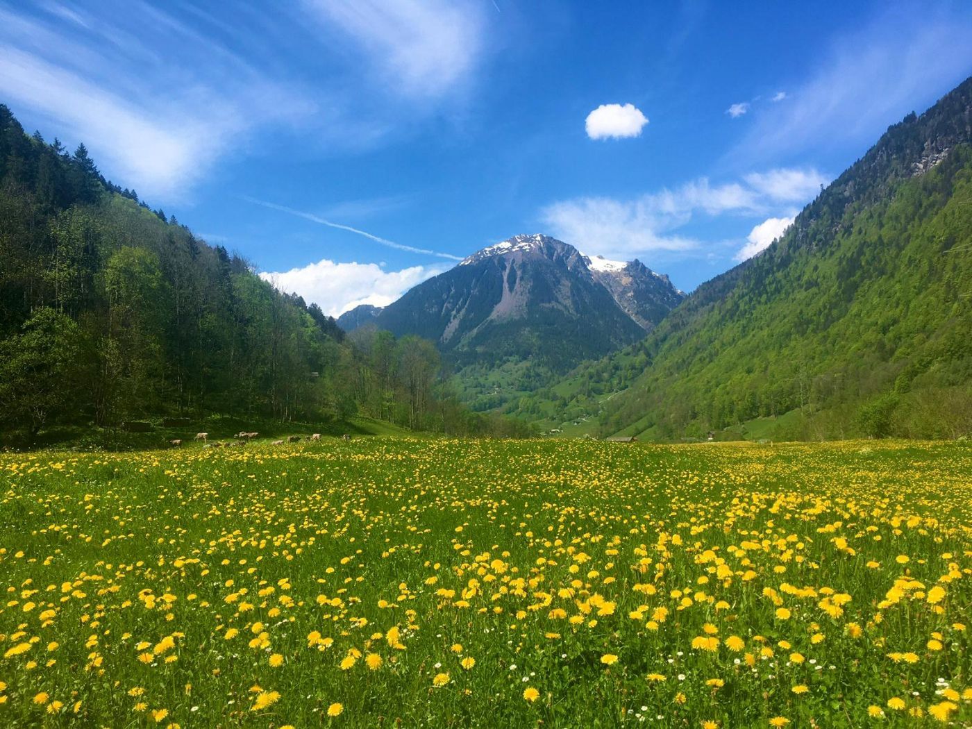 Klettern*5 Mehrbett Zimmer – Bild