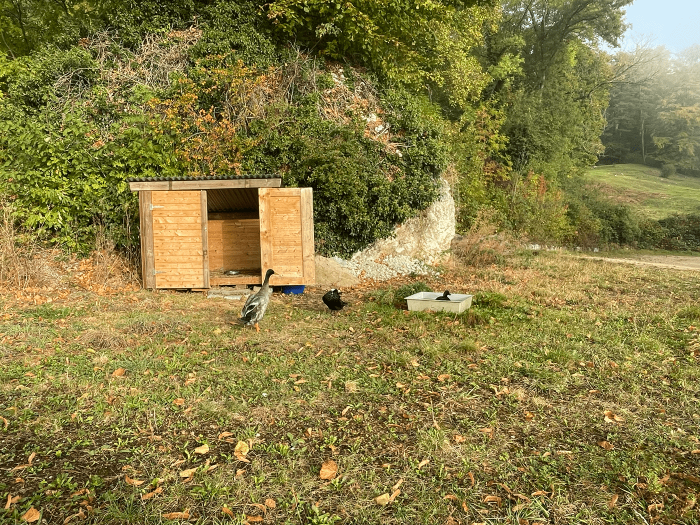 Schartenhof – Bild