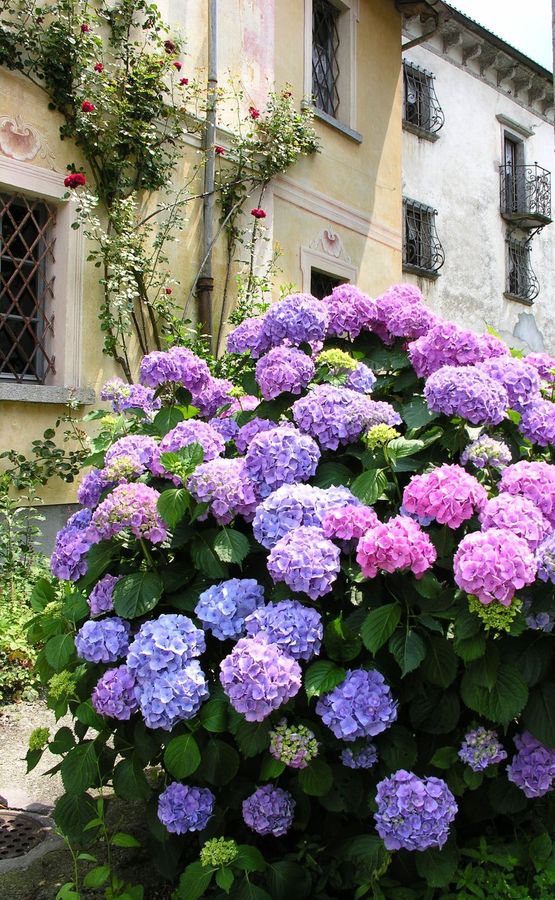 Ostello / Hostel Palagnedra – Bild