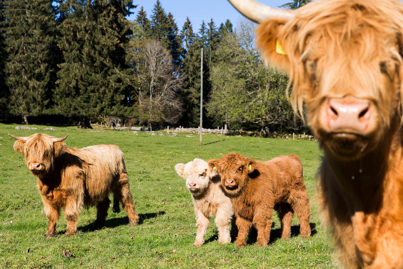 Haus Neuenburg – Bild