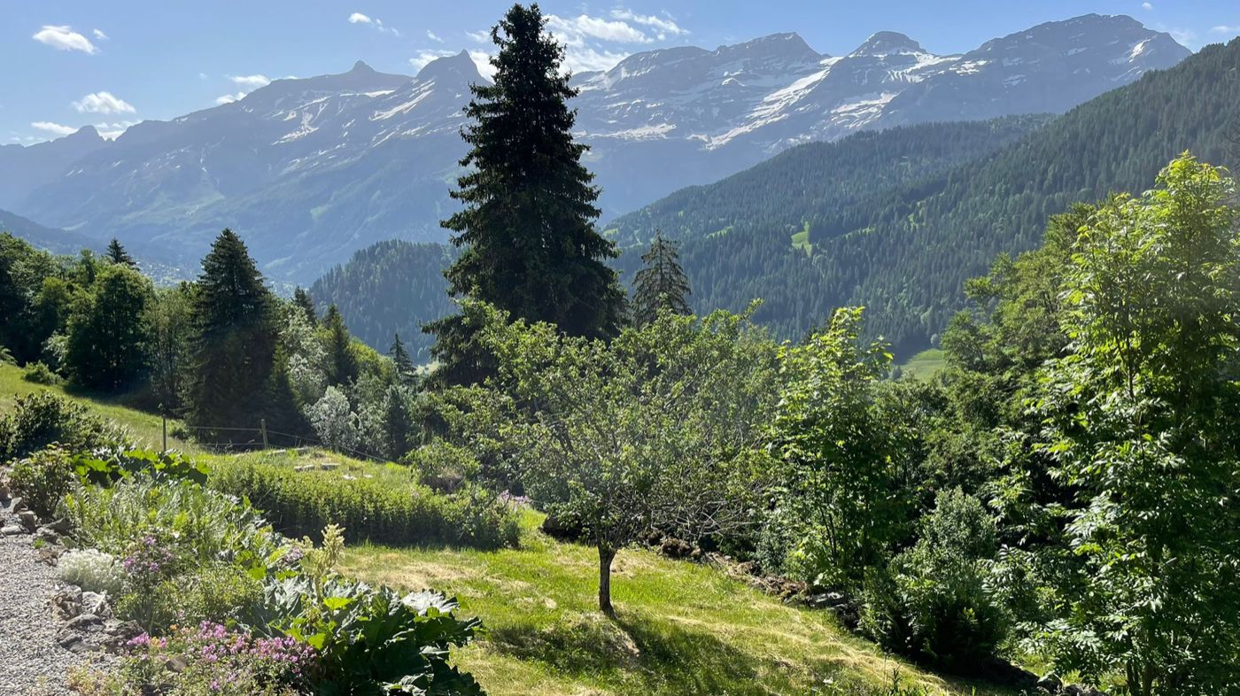 Chalet Le Vieux Rocher – immagine