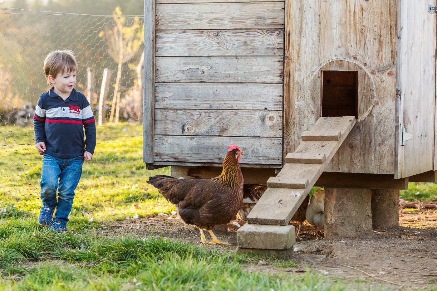 Haus Neuenburg – Bild