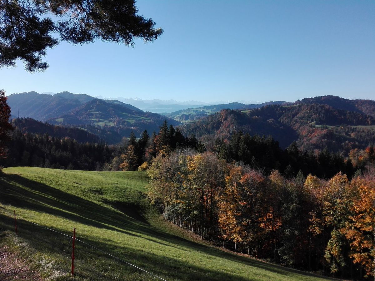 HörnliHaus – Bild