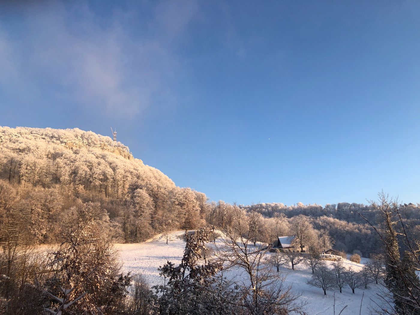 Schartenhof – Bild