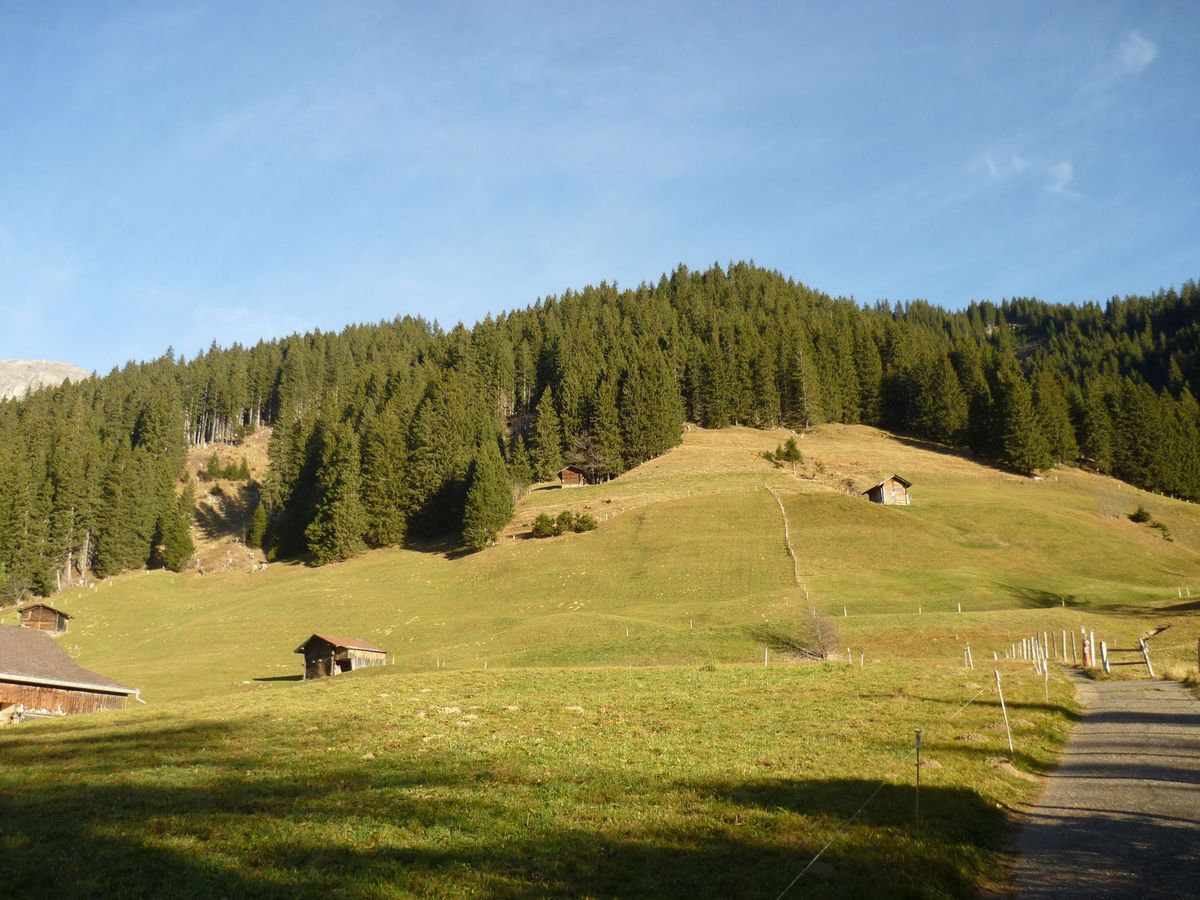 Jugendhaus Stiegelschwand der Heilsarmee – image
