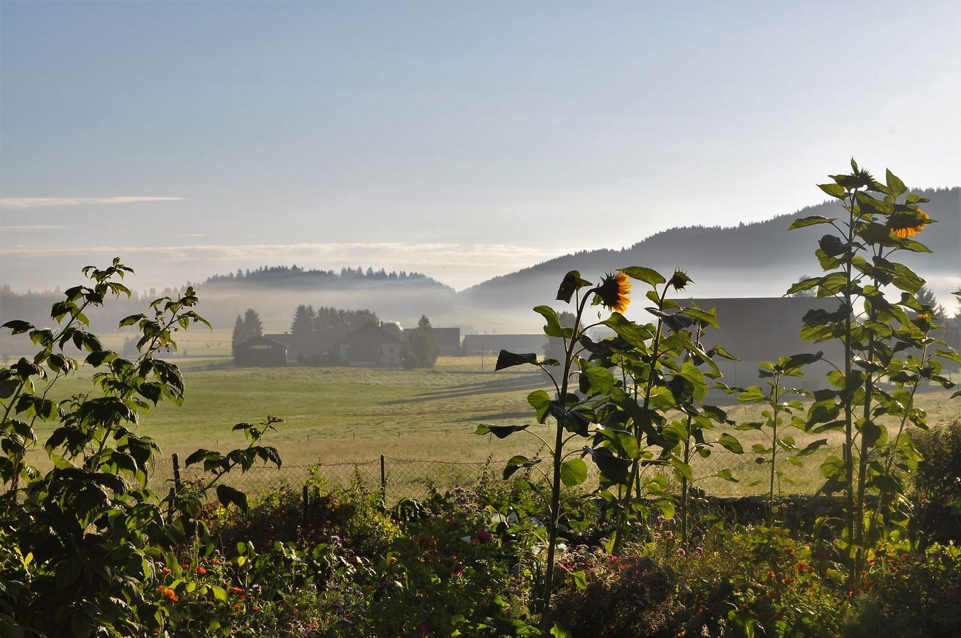 Chante-Joux – Bild