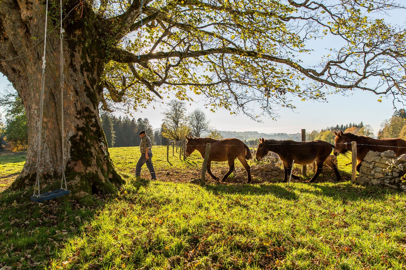 Haus Neuenburg – Bild