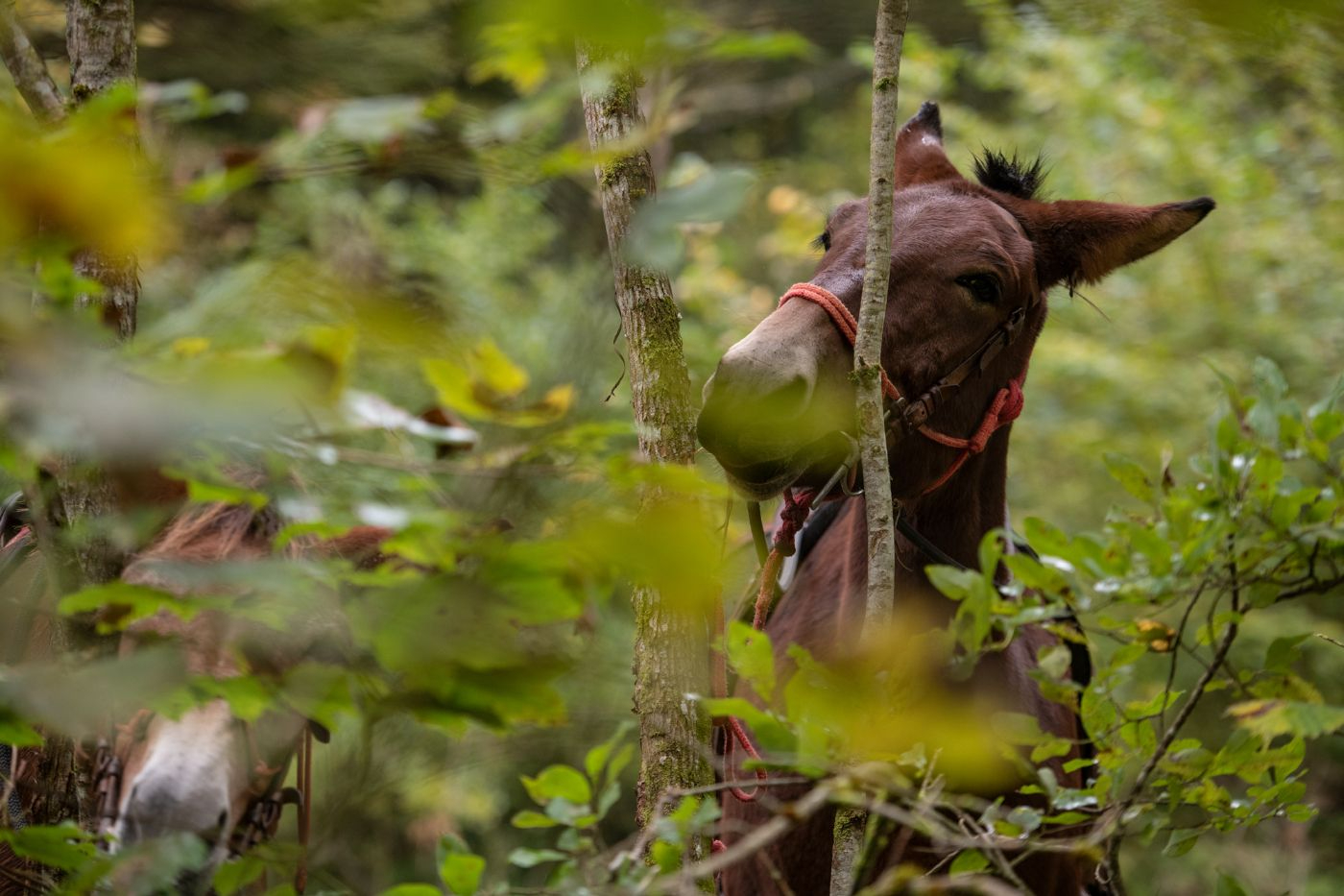 Haus Neuenburg – Bild