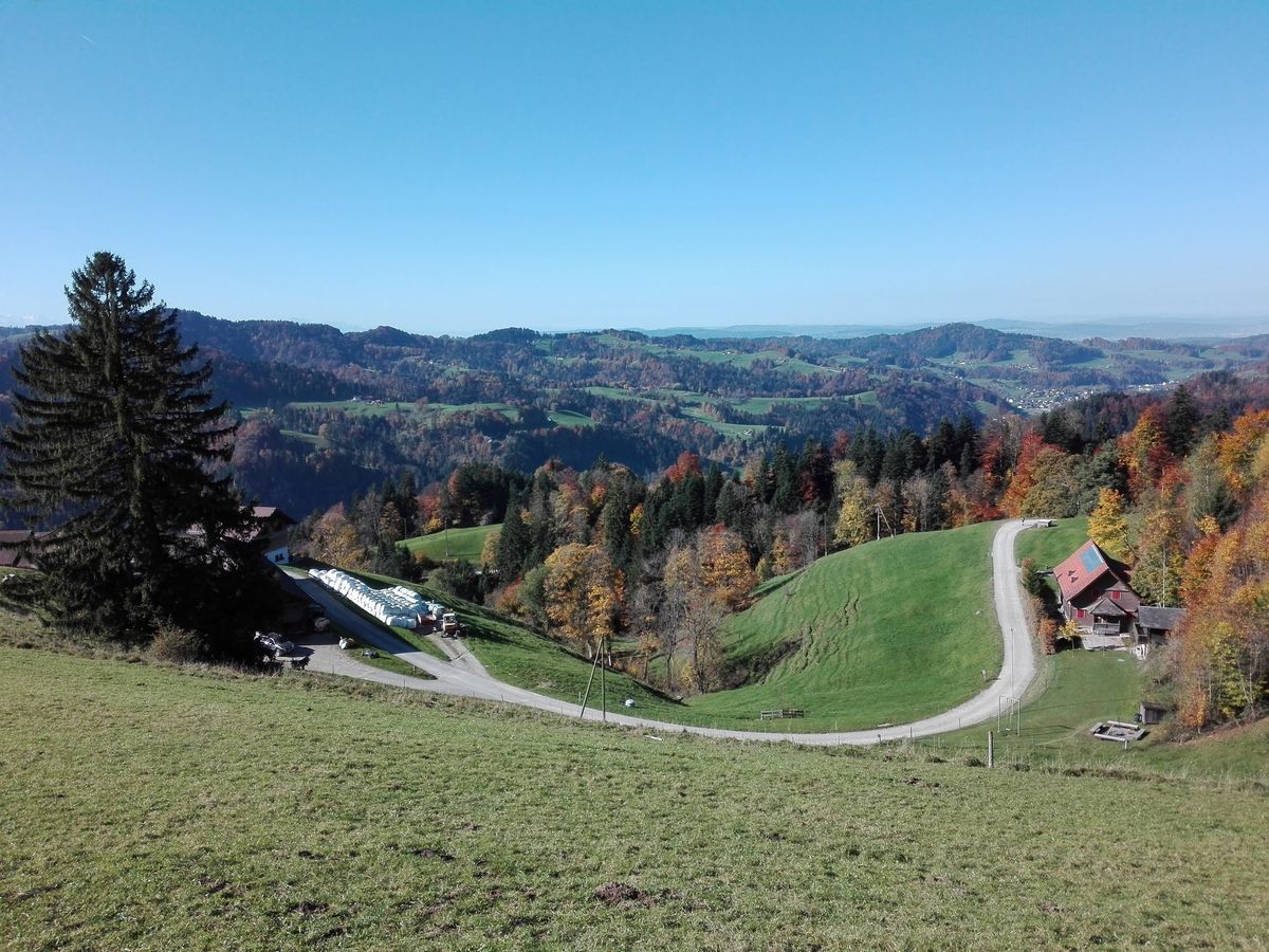 HörnliHaus – Bild