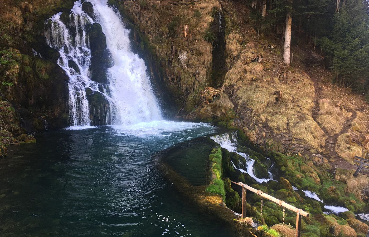 Chalet Edelweiss – Bild