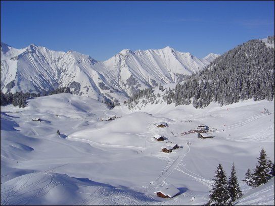 Frutigresort Familienhotel – image