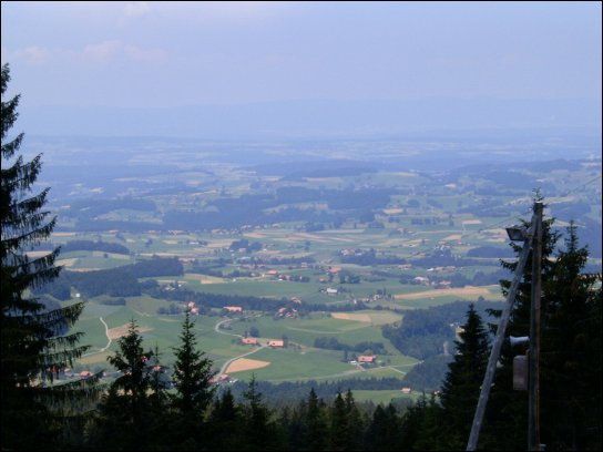 Gruppenhaus Waldhaus – Bild