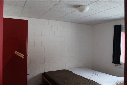 Les Noisettes – Bild