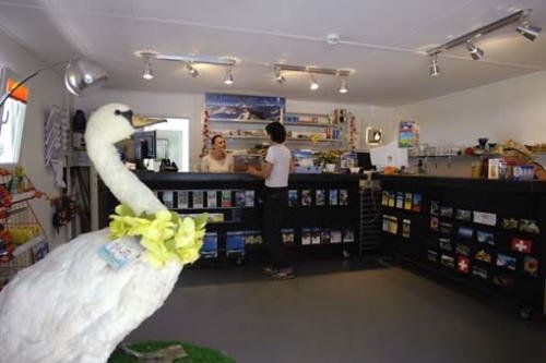 Riverlodge TCS Training und Freizeit AG – image