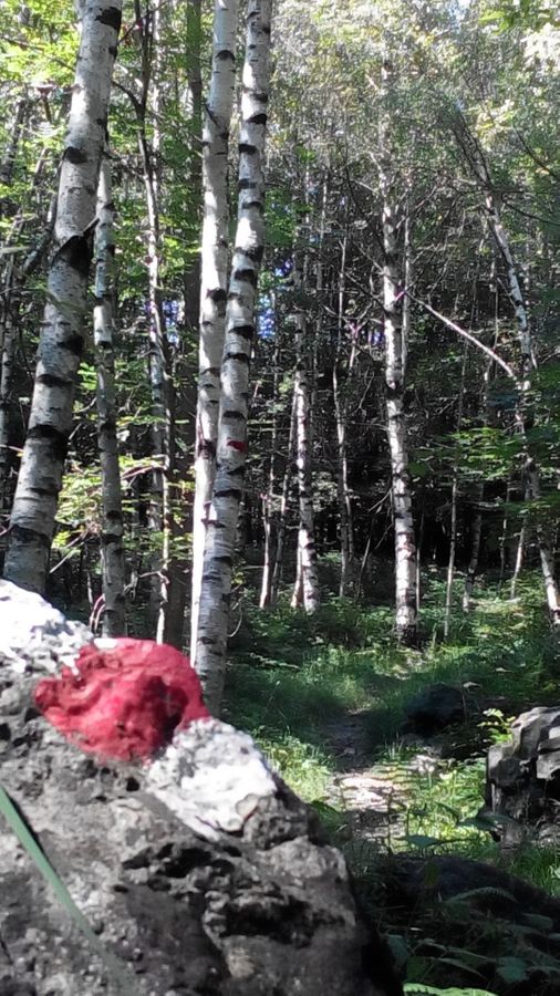 Ostello / Hostel Palagnedra – Bild