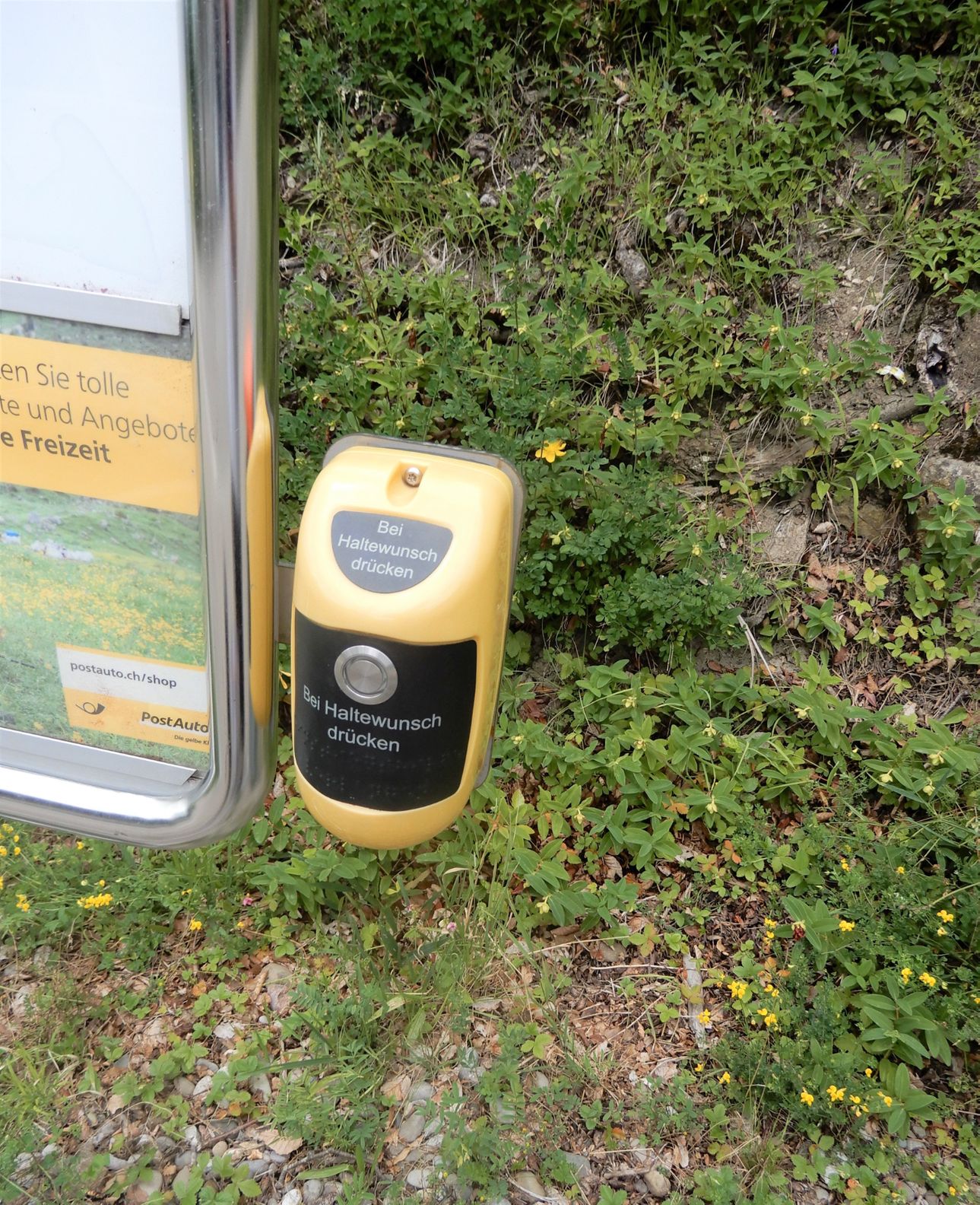 Heilsarmee Ferienzentrum Waldegg / Gesamtauftritt – Bild