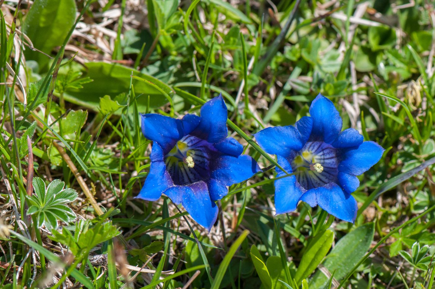 Naturfreundehaus St. Jakob – Bild