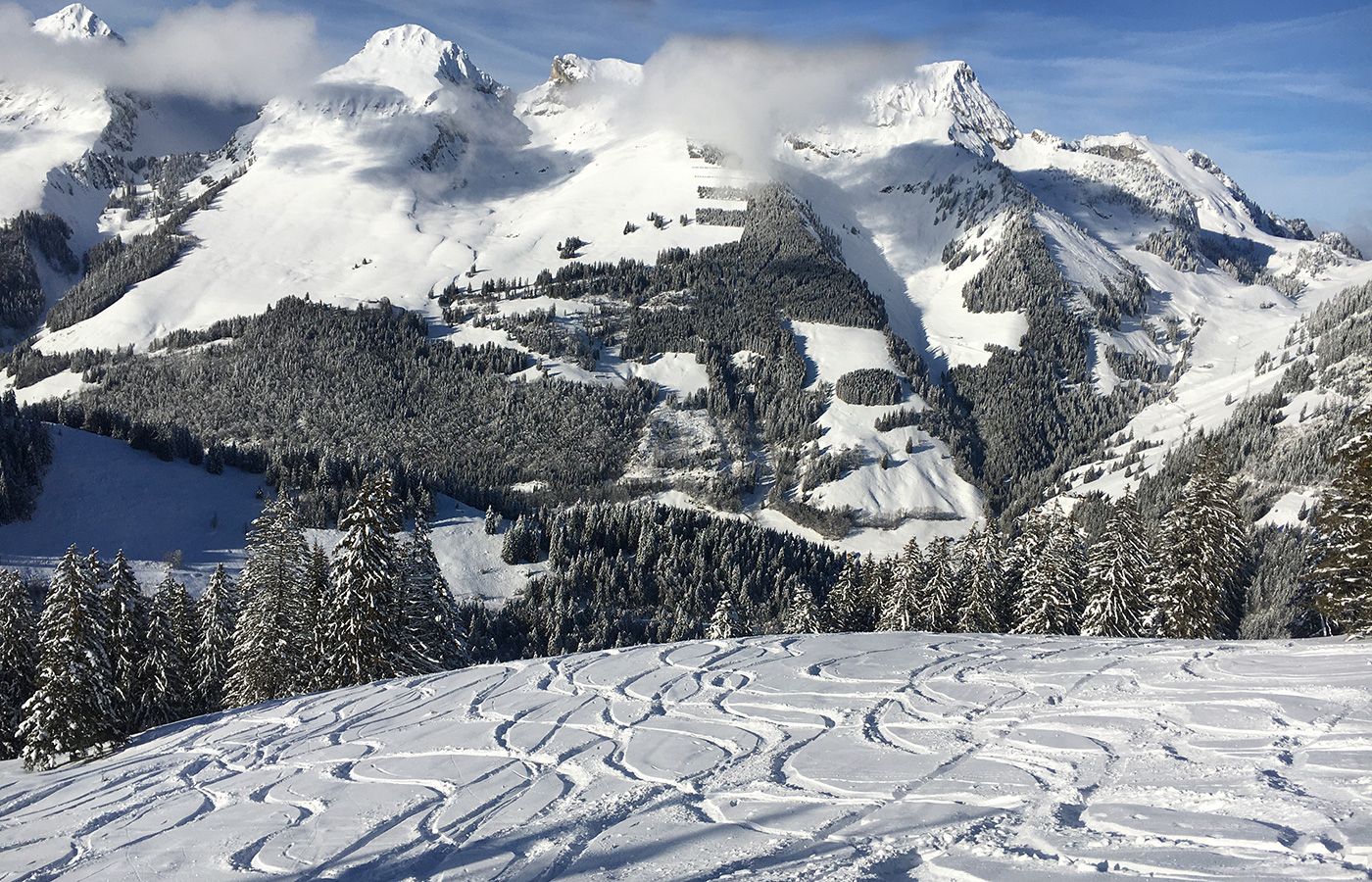 Chalet Edelweiss – Bild