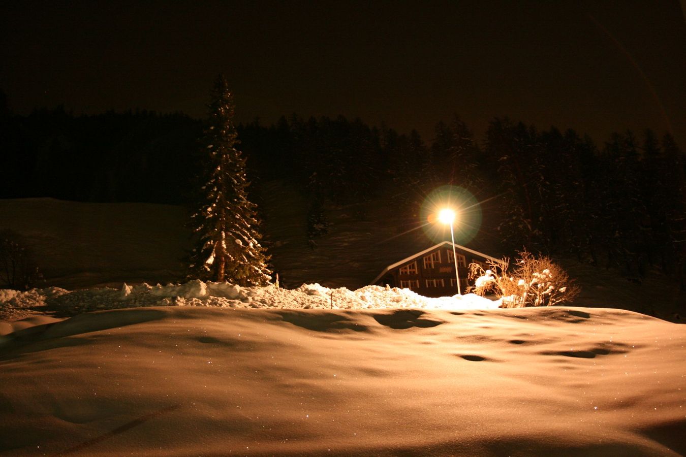 Chalet Les Flaches – Bild